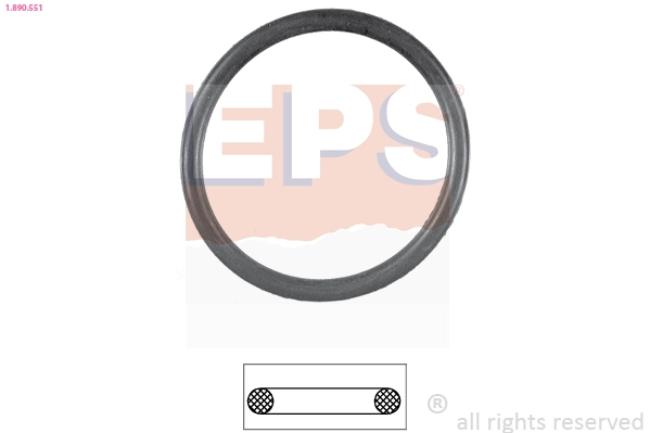 Seal, thermostat (1.890.551)