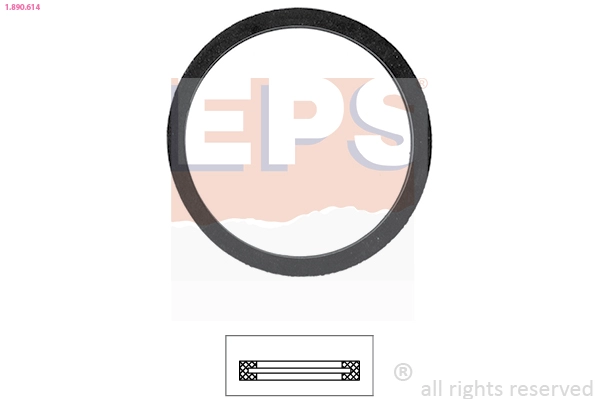 Seal, thermostat (1.890.614)