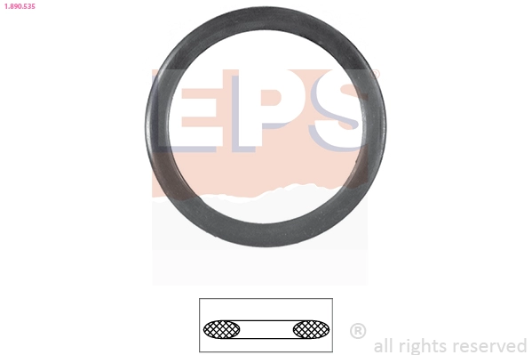 Seal, thermostat (1.890.535)