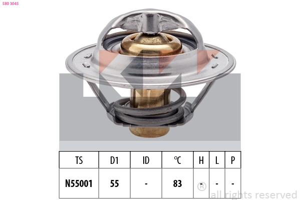 Thermostat, coolant (580 304S)