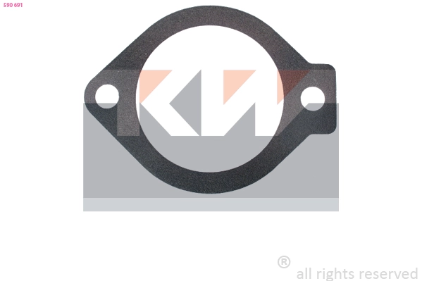 Seal, thermostat (590 691)