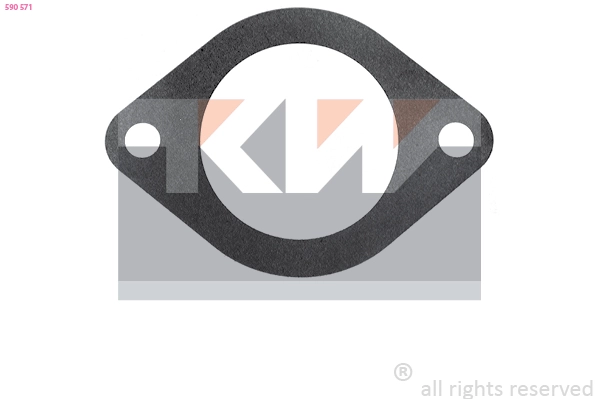 Seal, thermostat (590 571)