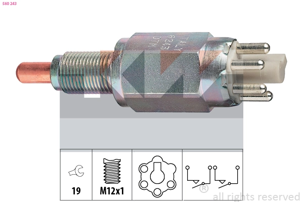 Switch, reverse light (560 243)