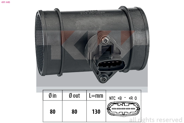 Mass Air Flow Sensor (491 445)