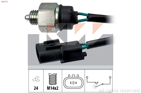 Switch, reverse light (560 313)