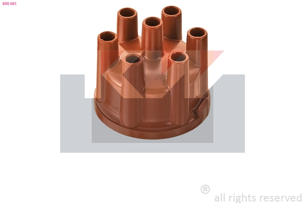 Distributor Cap (806 081)