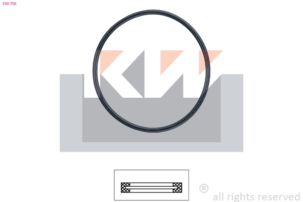 Seal, thermostat (590 705)