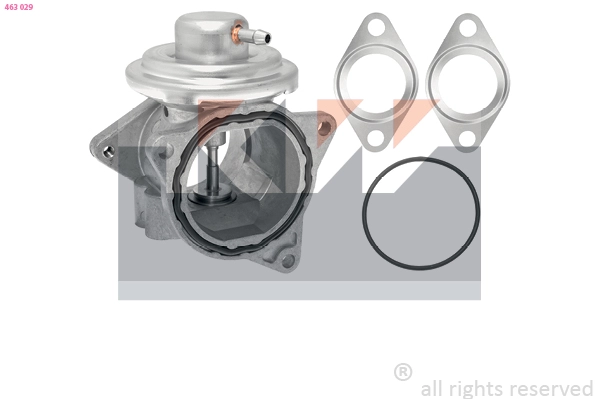 EGR Valve (463 029)