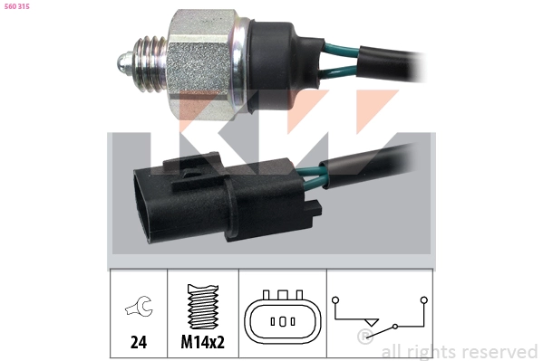 Switch, reverse light (560 315)