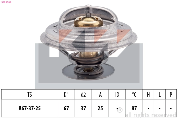Thermostat, coolant (580 256S)