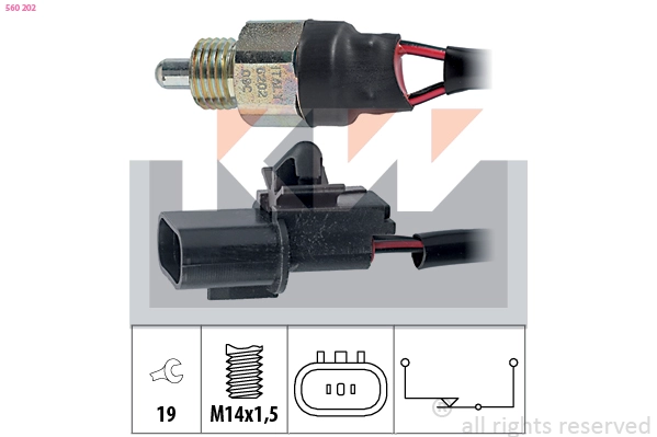 Switch, reverse light (560 202)