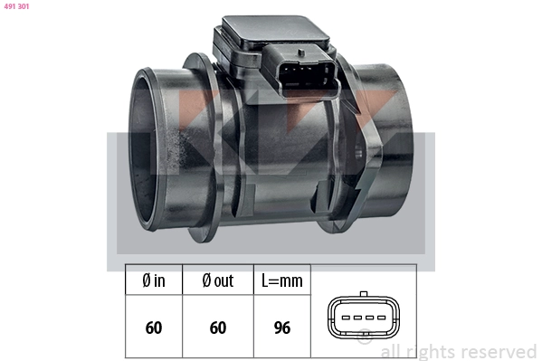 Mass Air Flow Sensor (491 301)