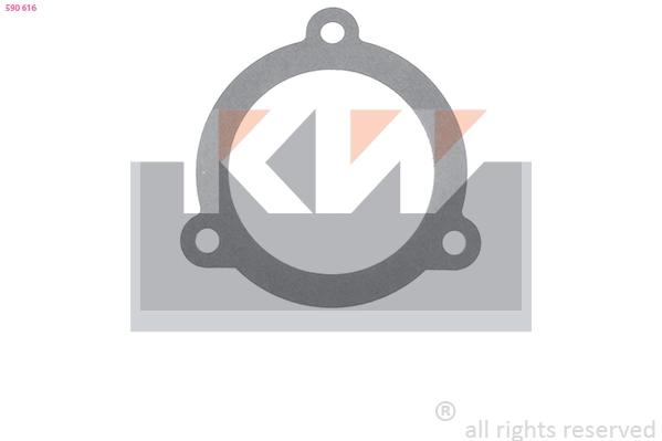 Seal, thermostat (590 616)