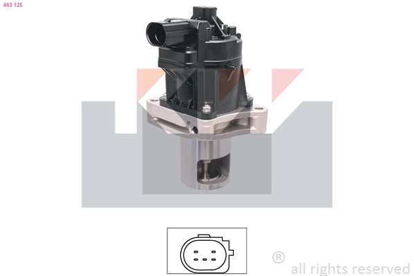 EGR Valve (463 125)