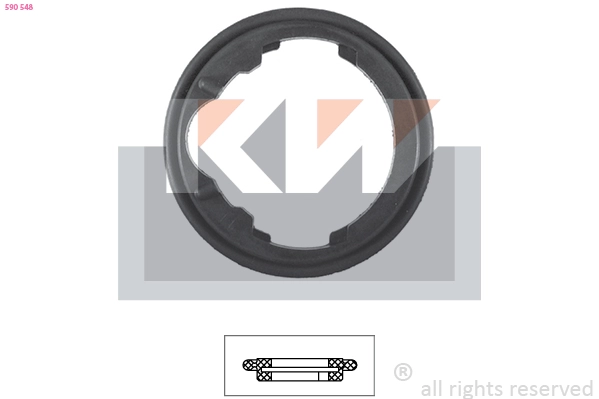 Seal, thermostat (590 548)