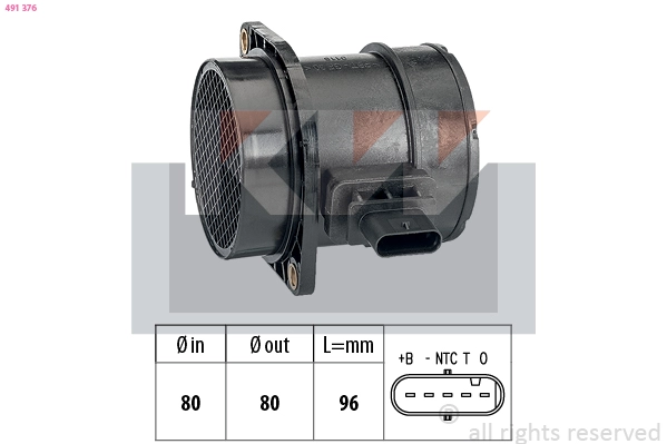Mass Air Flow Sensor (491 376)