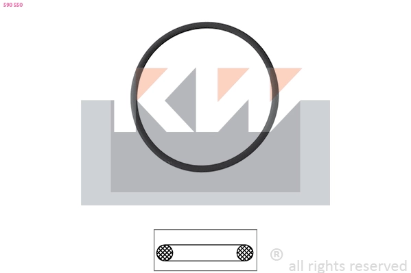 Seal, thermostat (590 550)