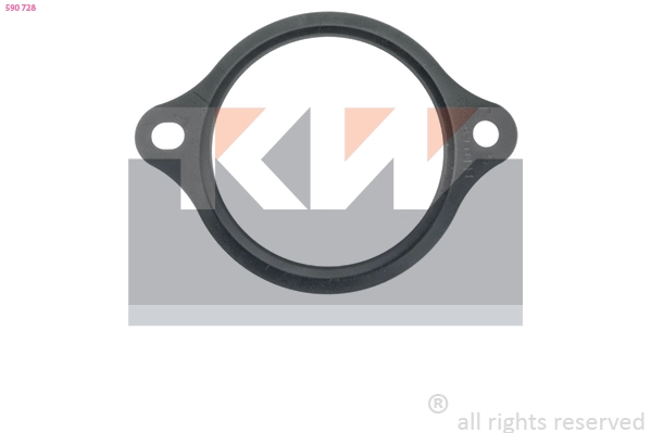 Seal, thermostat (590 728)