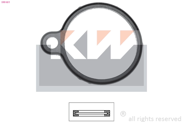 Seal, thermostat (590 651)