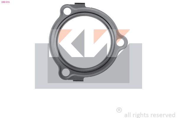 Seal, thermostat (590 515)