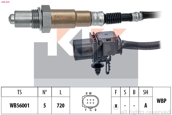 Lambda Sensor (498 420)