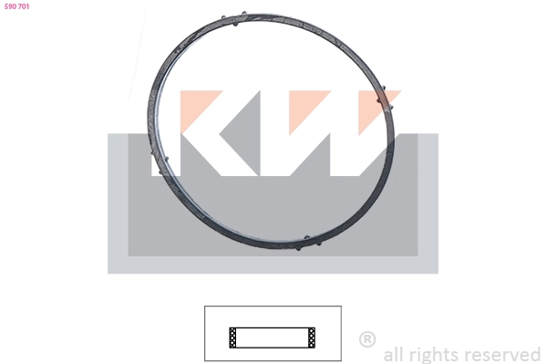 Seal, thermostat (590 701)