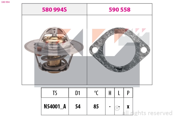 Thermostat, coolant (580 994)