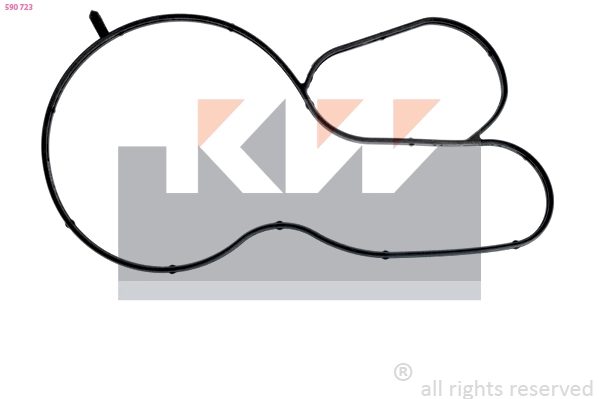 Seal, thermostat (590 723)