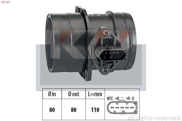 Mass Air Flow Sensor (491 223)