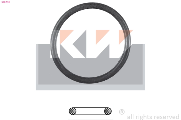 Seal, thermostat (590 551)
