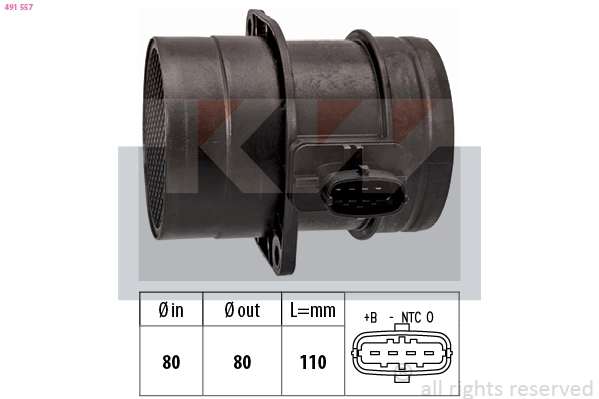 Mass Air Flow Sensor (491 557)