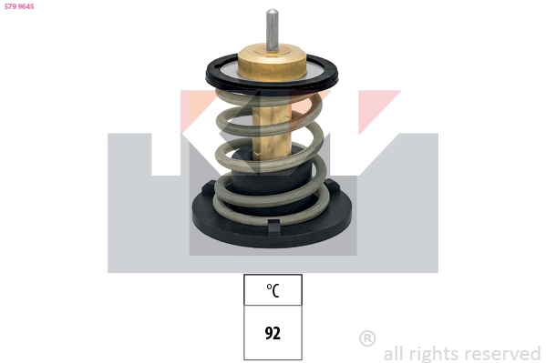 Thermostat, coolant (579 964S)