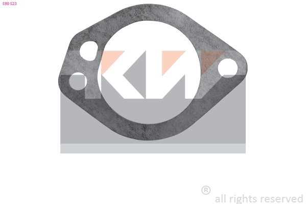 Seal, thermostat (590 523)