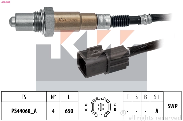 Lambda Sensor (498 609)