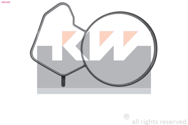 Seal, thermostat (590 625)