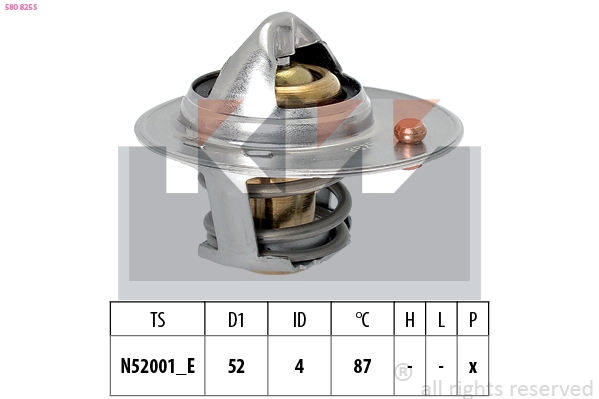 Thermostat, coolant (580 825S)