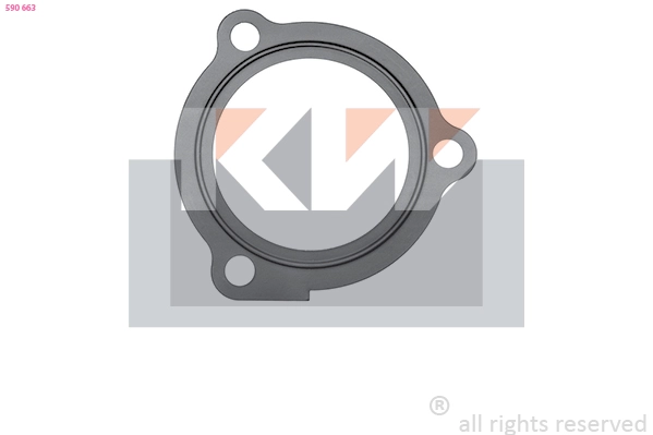 Seal, thermostat (590 663)