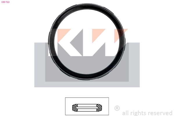 Seal, thermostat (590 722)