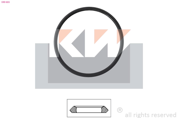 Seal, thermostat (590 655)