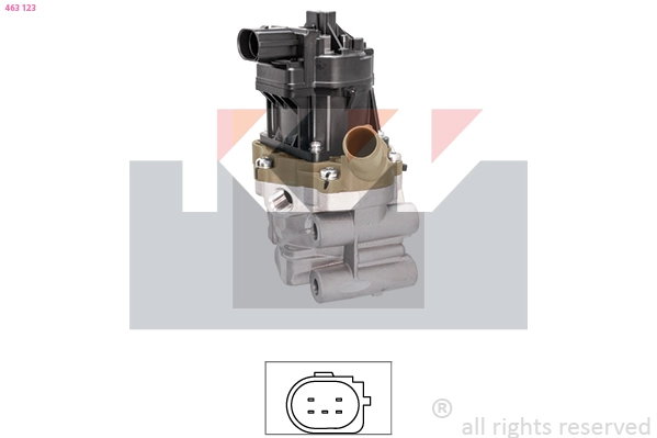EGR Valve (463 123)