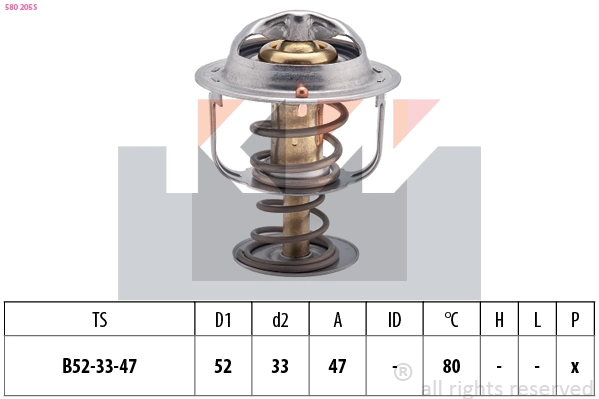 Thermostat, coolant (580 205S)