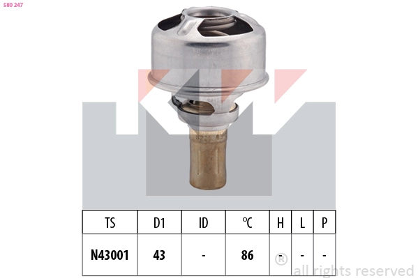 Thermostat, coolant (580 247)