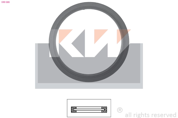 Seal, thermostat (590 585)