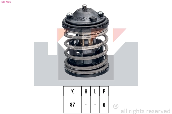 Thermostat, coolant (580 762S)