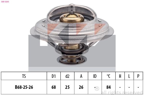 Thermostat, coolant (580 326S)