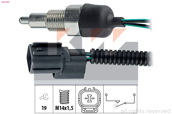 Switch, reverse light (560 247)