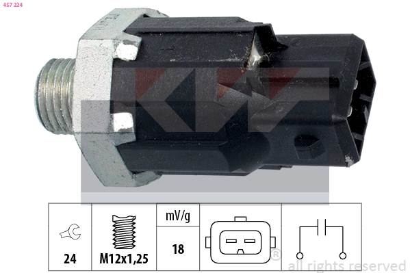 Knock Sensor (457 224)