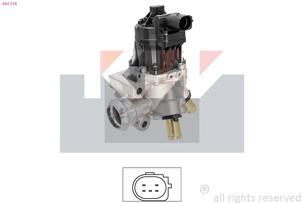 EGR Valve (463 124)