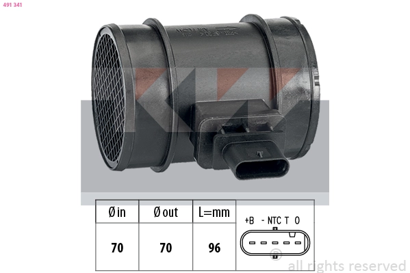 Mass Air Flow Sensor (491 341)