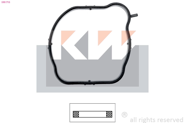 Seal, thermostat (590 715)